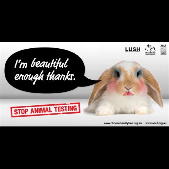 🦩🦦Meet your Posher, GuysGallery 🦧🦥 - Picture 2 of 5